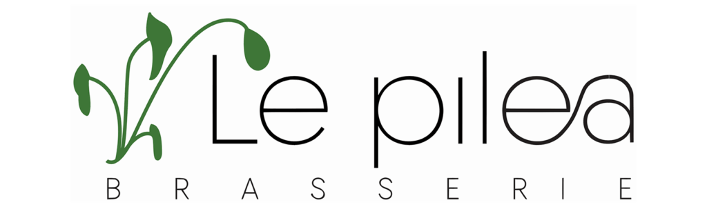 Alarme pour restaurant - Le pilea
